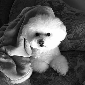 Meet your Posher, Jenn